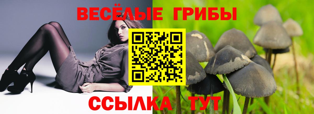 сколько стоит  Псилоцибиновые грибы прущие грибы  Вход с VPN  Южно-Сахалинск 